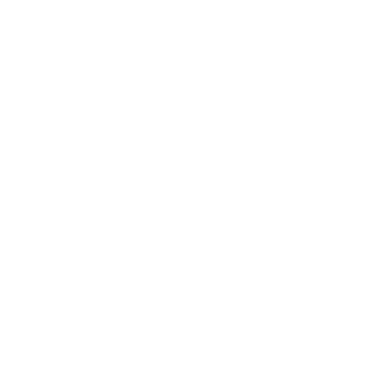 vision_icono