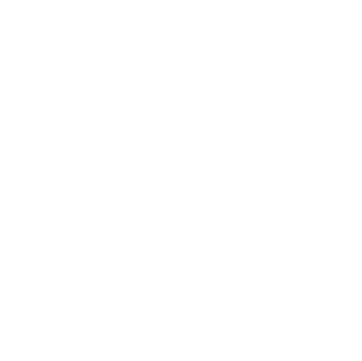 vision_icono
